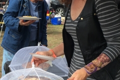 IMG_7368chili17