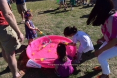 IMG_3209Fiesta 18